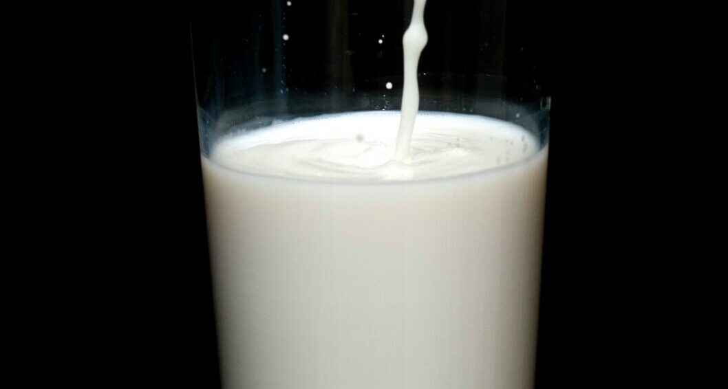 植物性ミルク・代替乳製品のカオスマップと資金調達分析