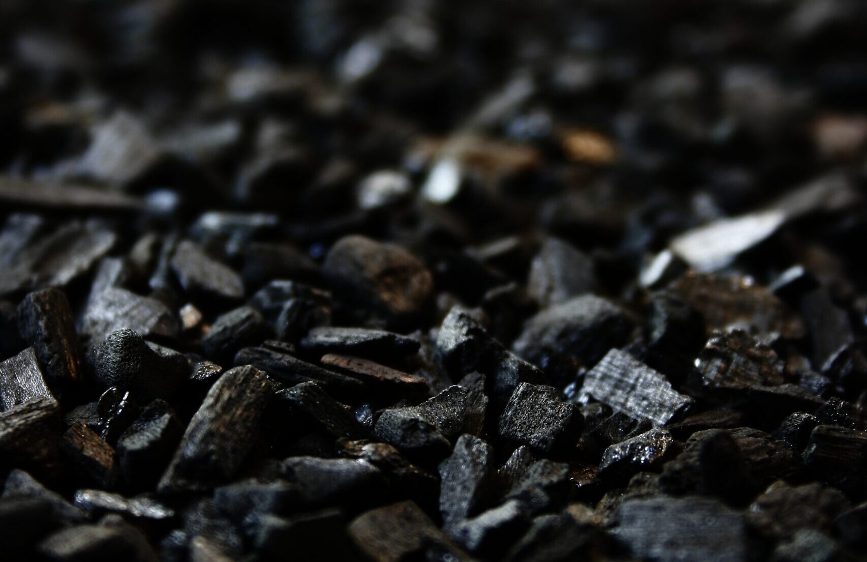 石炭（一般炭と原料炭）業界の世界市場シェアの分析